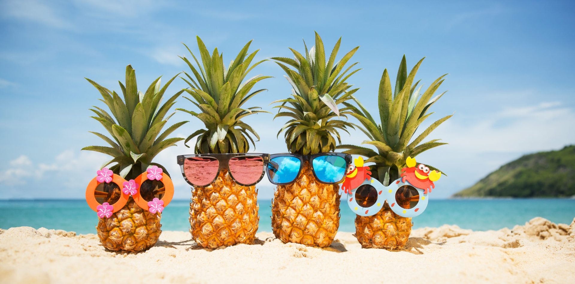 Family,Of,Funny,Attractive,Pineapples,In,Stylish,Sunglasses,On,The